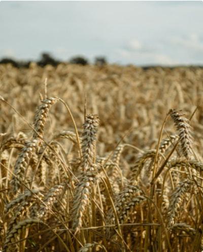 Agrarian
