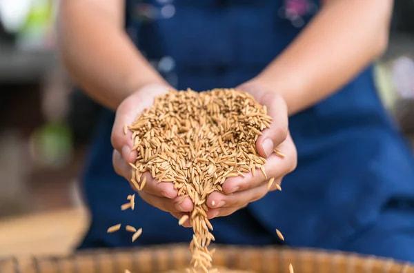 grain